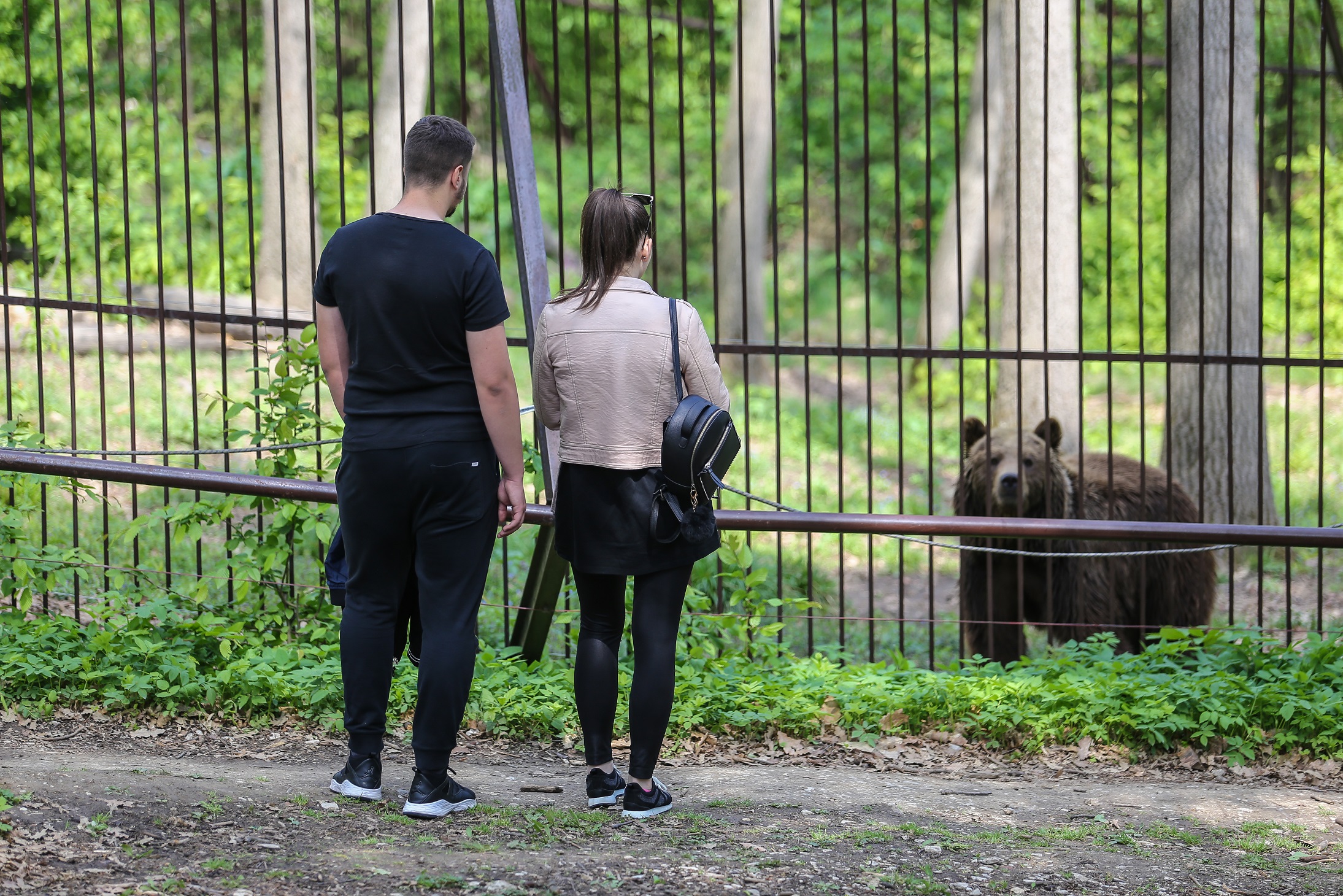 Miskolci Állatkert
